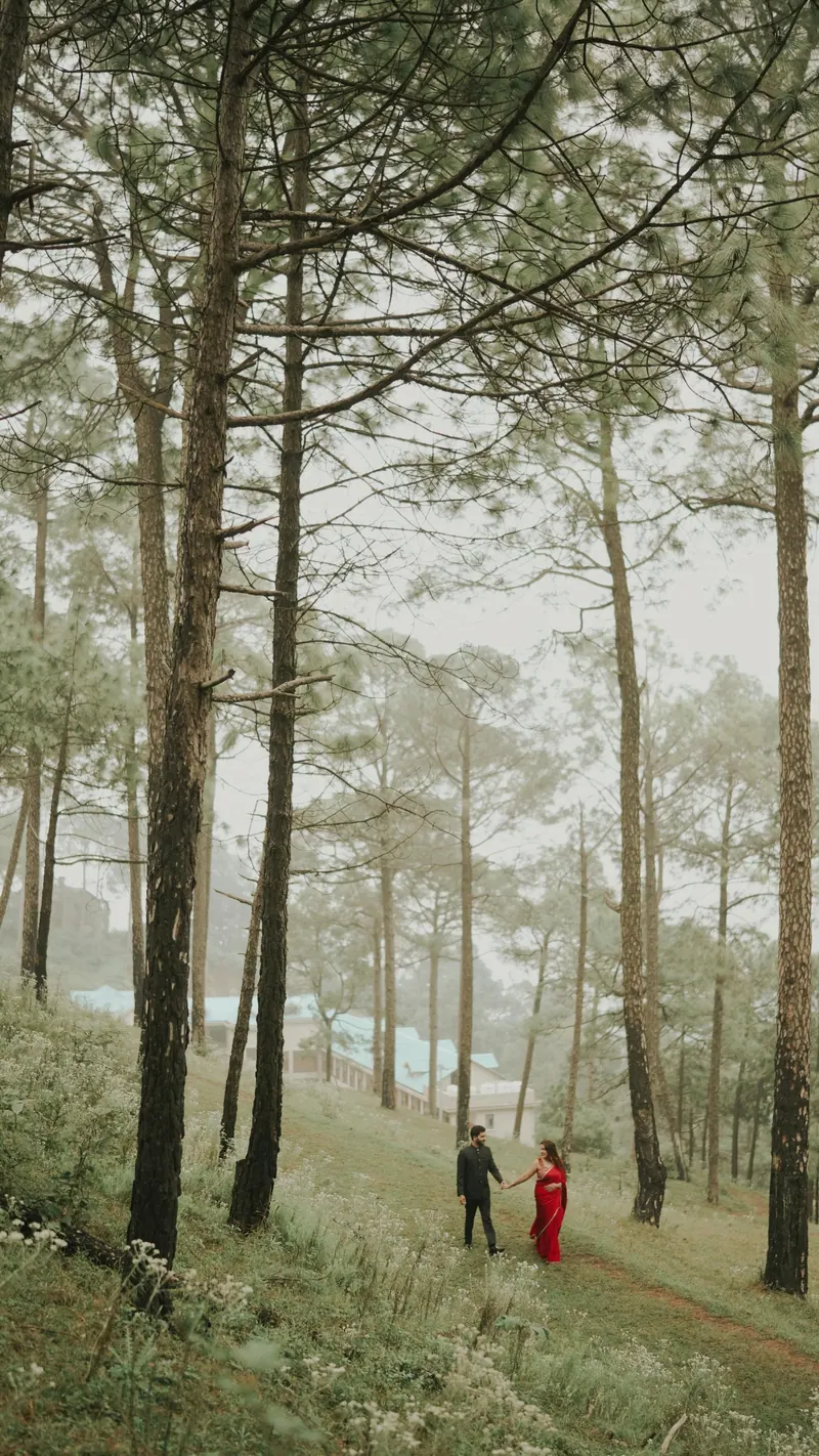 A couple walking hand in hand through misty pine woods
